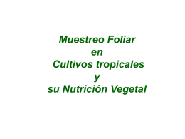 Muestreo Foliar de Cultivos tropicales y su Nutrición Vegetal