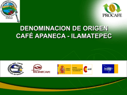 DENOMINACION DE ORIGEN CAFÉ APANECA - ILAMATEPEC