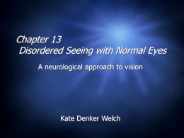 Chapter 13 Disordered Seeing with Normal Eyes