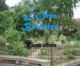 L`Orto Botanico di Padova: Arboreto (ppt 12.80 Mb)