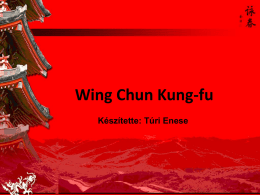 Wing Chun Kung-fu