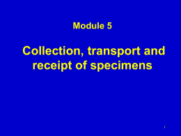 Module 5.4 Slides