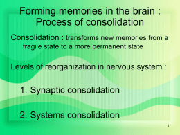 Long term memory & Memory errors