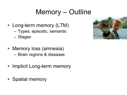 Long-term memory