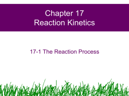 Chapter 17 Reaction Kinetics