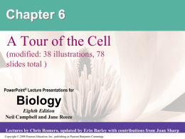 Ch 6 Tour of Cell