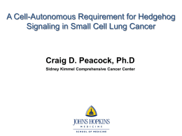 PPT slides - Johns Hopkins FAMRI