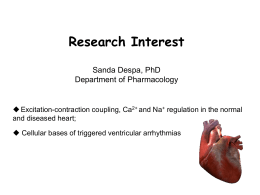 Sanda Despa, Ph.D., Deparment of Pharmacology