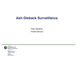 Ash Dieback Disease Presentation (Microsoft PowerPoint, 4488 Kb)