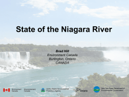 State of the Niagara River