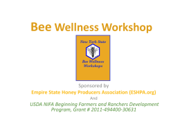 Bee Wellness Workshop - NY Bee Wellness Workshops