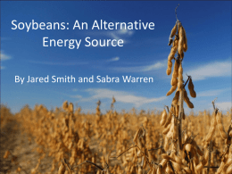 Soybeans: An Alternative Energy Source