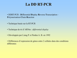 La DD RT-PCR