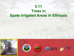 5.11 Indigenous Trees Mid Highland Spate Ethiopia