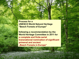 Beech Forests in Europe