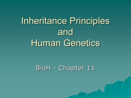 Inheritance Principles and Human Genetics