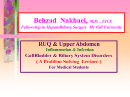 Dr B Nakhaei