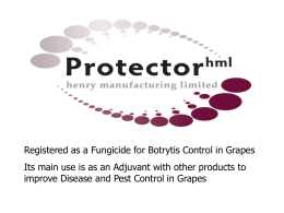 Protector hml Powerpoint presentation