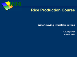 Water Saving Irrigation