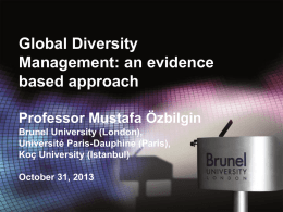 Global Diversity Management: an evidence based approach