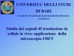 FRET - Università degli Studi di Bari