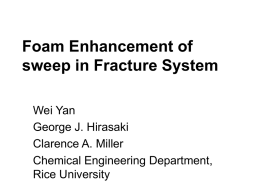 Foam in Fracture Systems
