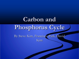 Carbon and Phosphorus Cycle