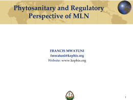Phytosanitary and Regulatory Perspective of MLN.