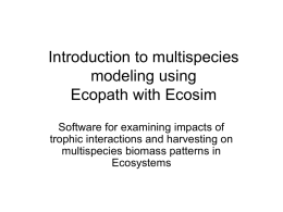 Food web analysis with ecopath/ecosim