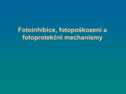 Fotoinhibice, fotopoškození a fotoprotekční mechanismy, produkce