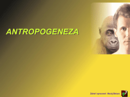 Antropogeneza – pochodzenie cz*owieka Odtwarza histori