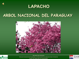 Árbol Nacional del Paraguay - Tajy