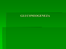 GLUCONEOGENEZA - WordPress.com