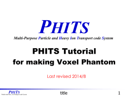 (III): Making Voxel Phantom