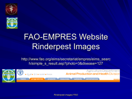 Rinderpest FAO images