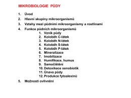 Mkrobiologie kap. 16. Půda