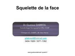 Les os de la face - Gustave DABRESIL