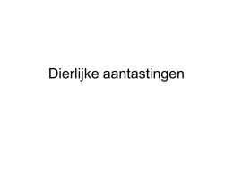 Powerpoint - Wikiwijs Maken