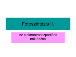 Fotoszintézis II.