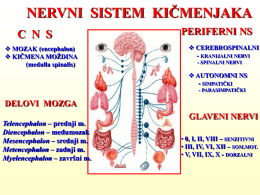 АМХ 3 везба - Нервни систем 2013