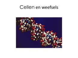 Cellen en weefsels