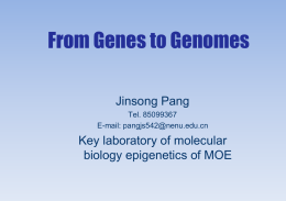 ***********X***********X*******X*******X***X***X***X***X***X***X