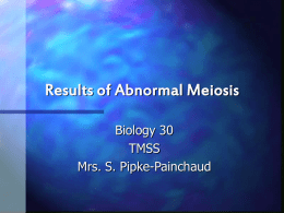Abnormal Meiosis Powerpoint