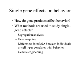 PowerPoint Presentation - Knockout gene affects parental care