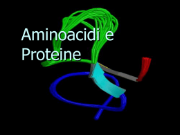 5.aminoacidi e peptidi