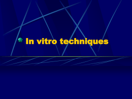 In vitro techniques