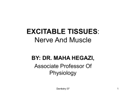 EXCITABLE TISSUES: Nerve And Muscle For 2nd Year Dental