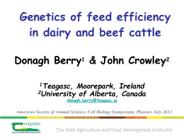 Genetics of Feed Efficiency in Dairy and Beef Cattle