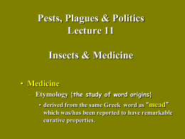 Insects & Medicine