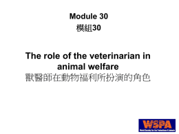 30_Veterinarians` Role 獸醫師的角色